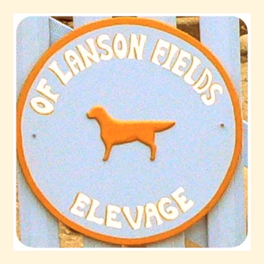 of lanson fields